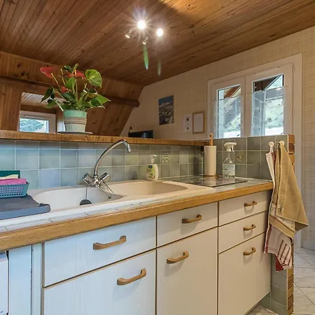 Fenetre Sur Superbagneres Holiday home